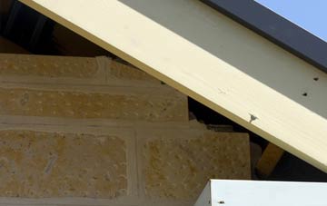 soffit repair Skewsby