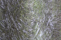 Skewsby fibreglass roof work